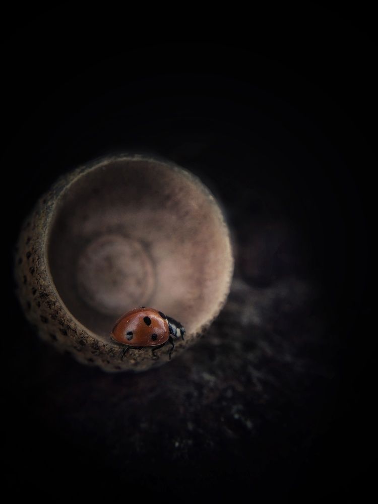 Обустроилась