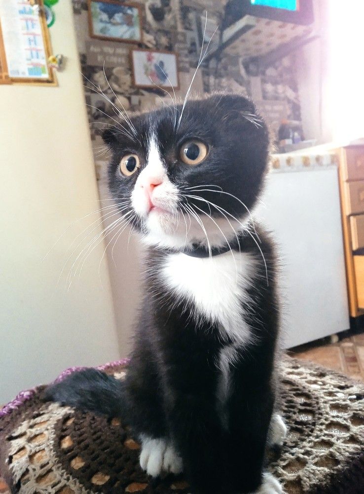 Photograph by Светлана Олина