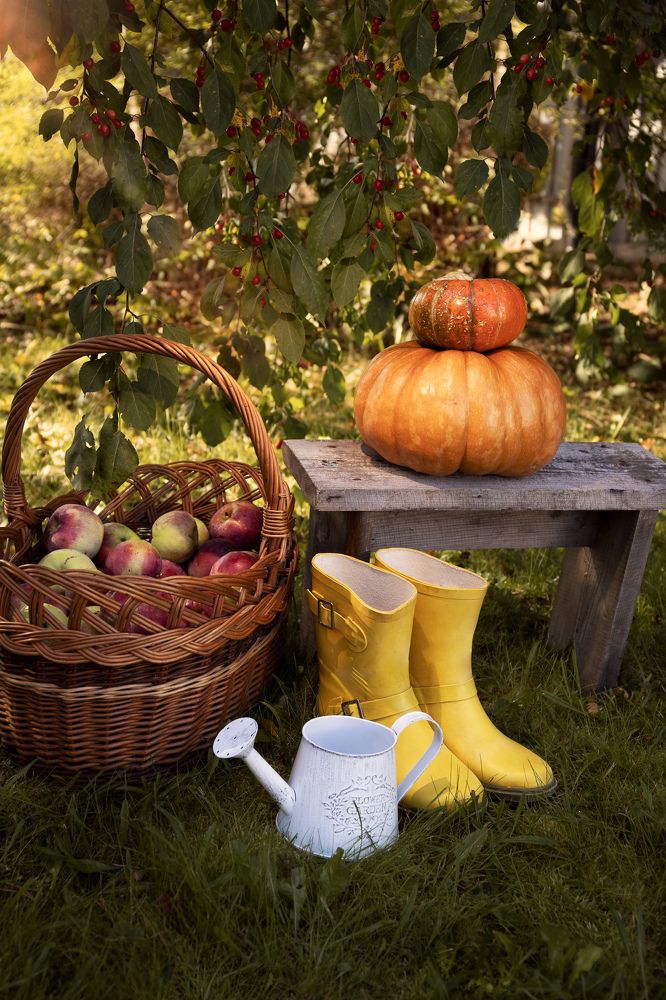 Фотография автора Наталья Смекалина