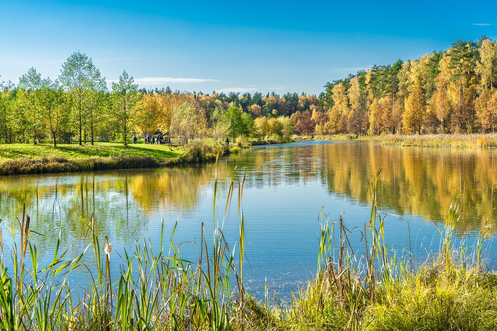 Photograph by Владимир Езеров