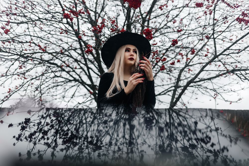 Фотография автора Софья Сергина