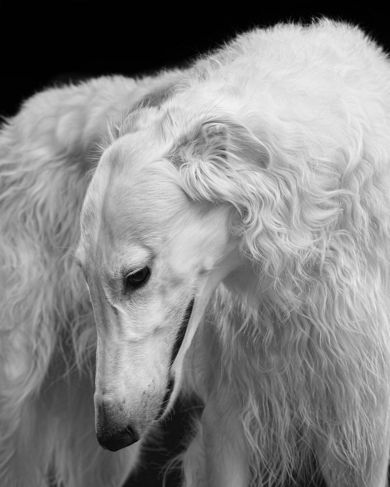 Photograph by Анна Мандрикян