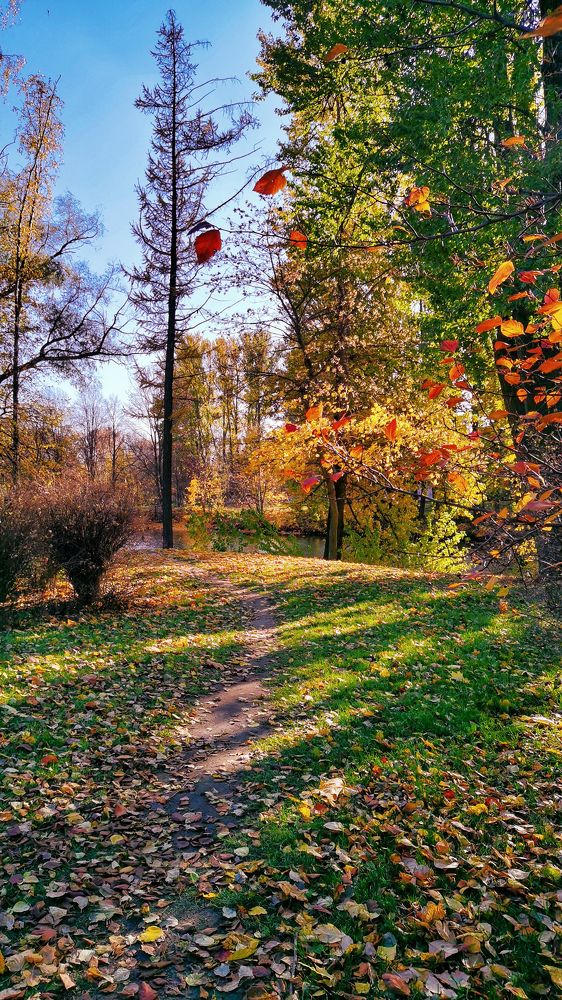 Photograph by Виктория Федосеенко