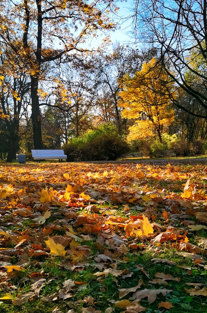Photograph by Виктория Федосеенко