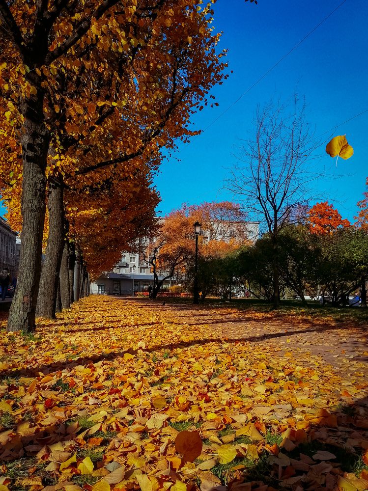 Photograph by Виктория Федосеенко