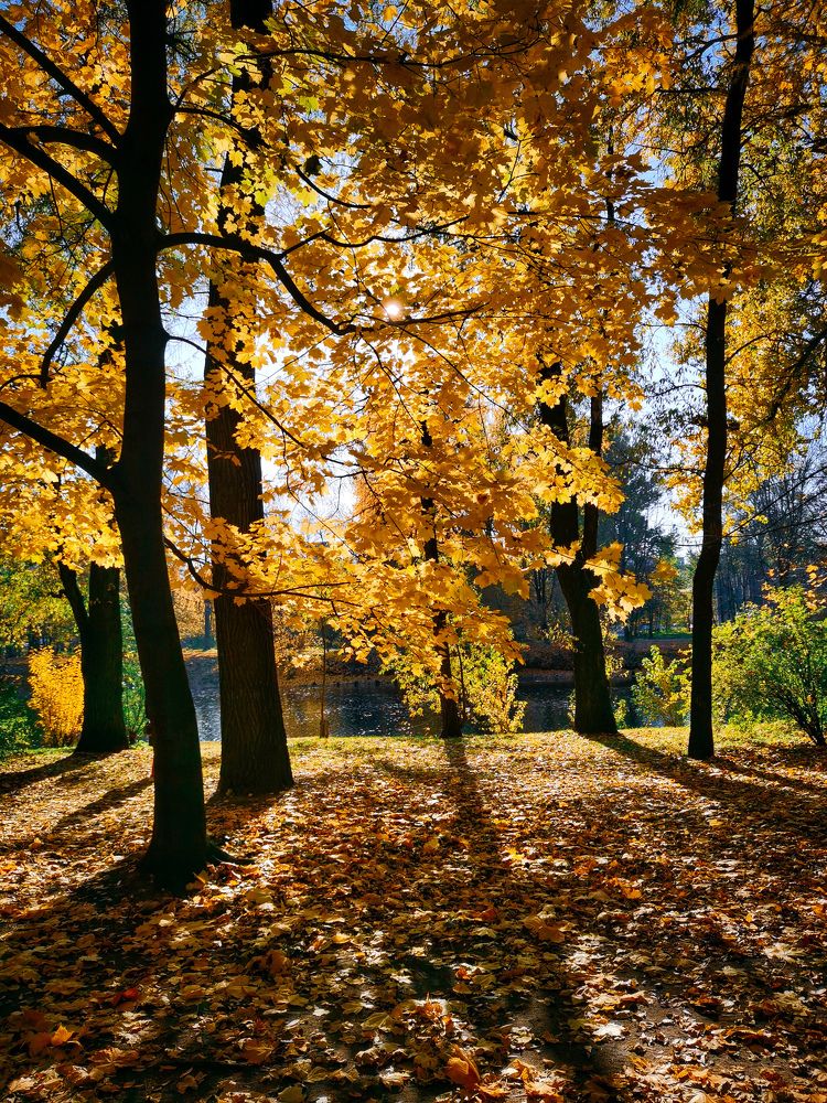 Photograph by Виктория Федосеенко