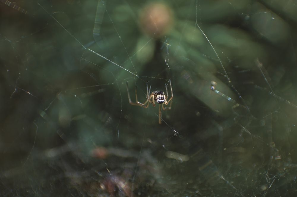 Photograph by Григорий Консевич