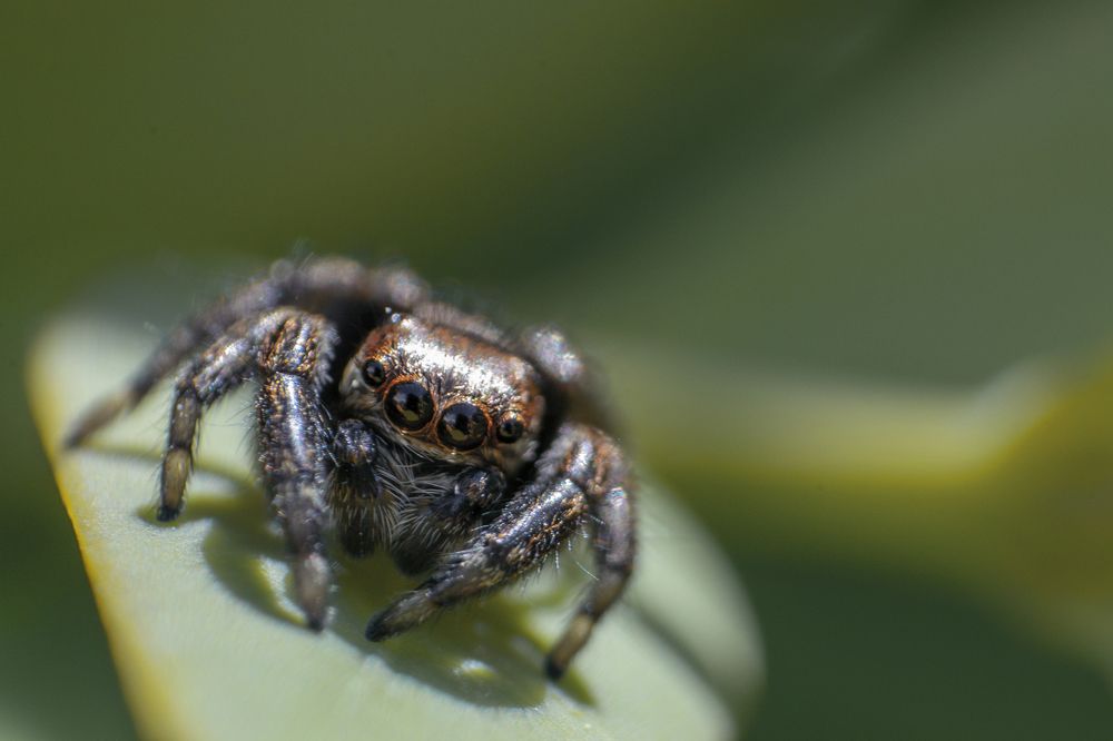 Photograph by Григорий Консевич