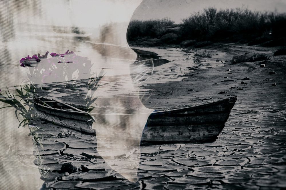 Photograph by DAMOUN POURNEMATI