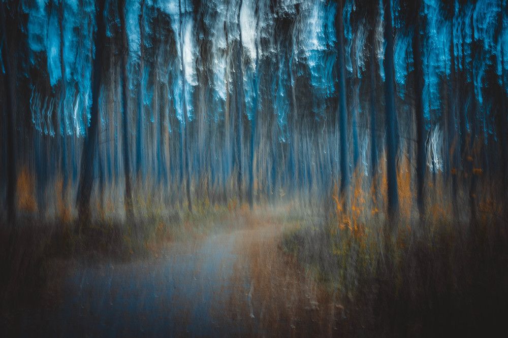 Photograph by Александр Забавка