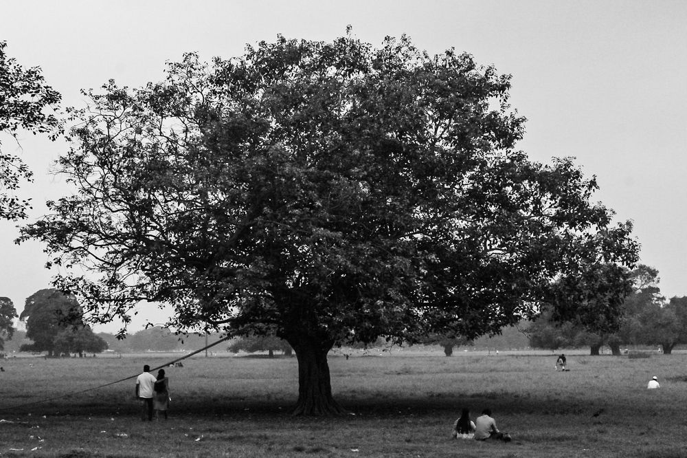 Photograph by Anik Saha