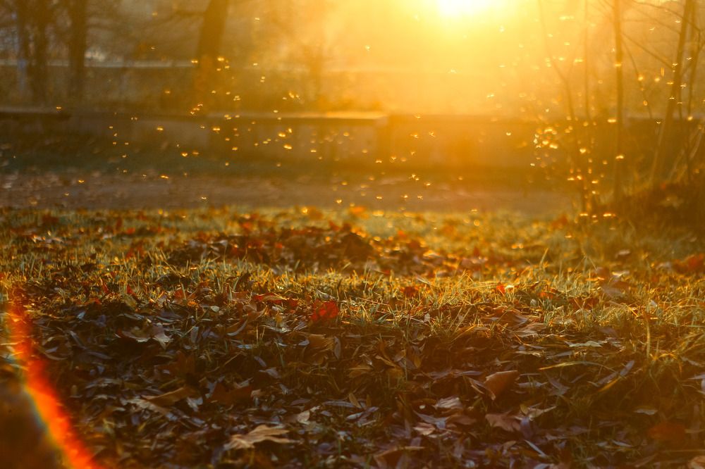 Photograph by Ефимова Анна