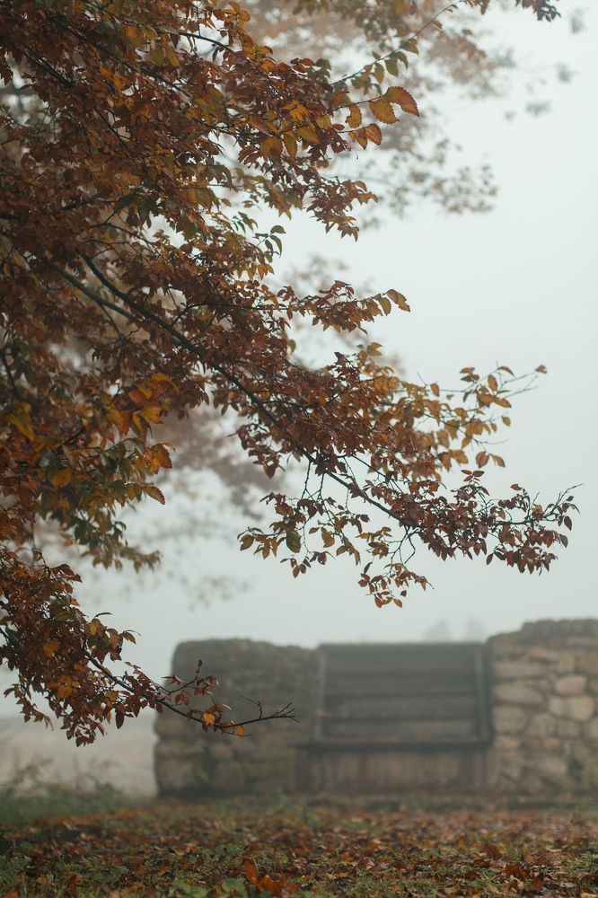 Фотография автора Alireza Karimian