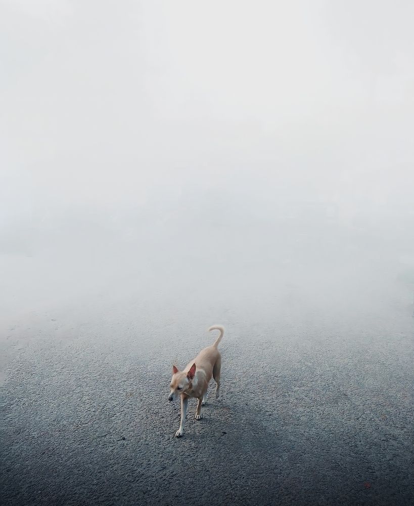 Photograph by Ajin Aravind