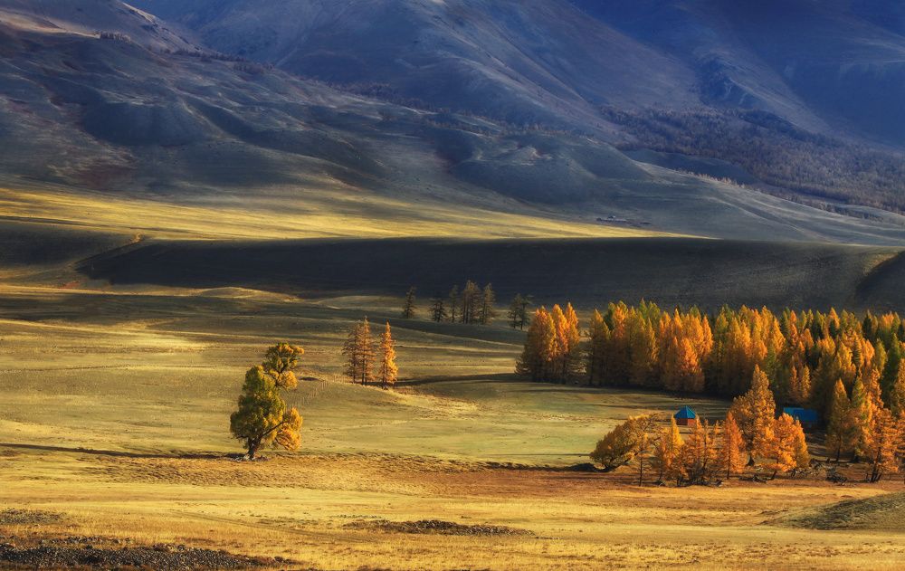 Photograph by Галина Хвостенко