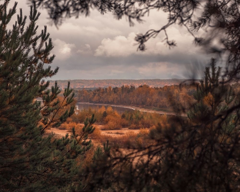 Настроение осени