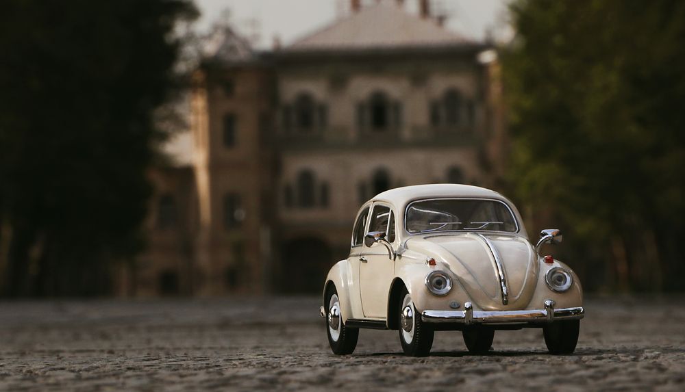 Фотография автора Alireza Karimian