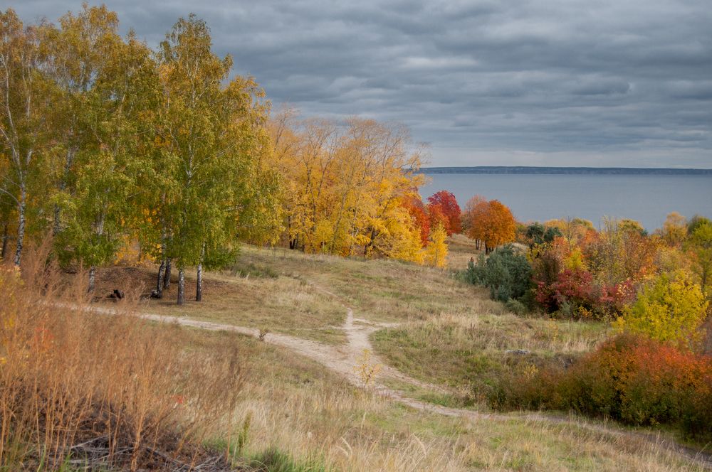 Photograph by Владимир Новиков
