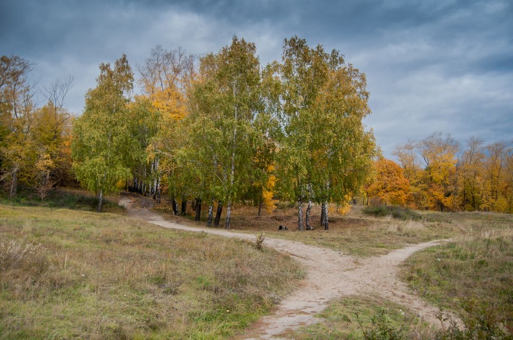 Photograph by Владимир Новиков