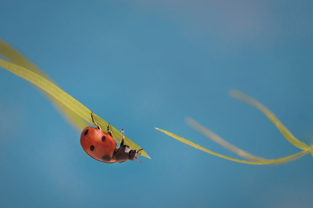 Photograph by Татьяна Пименкова