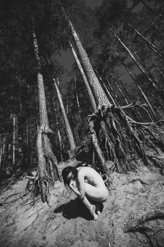 Photograph by Злотник Владимир