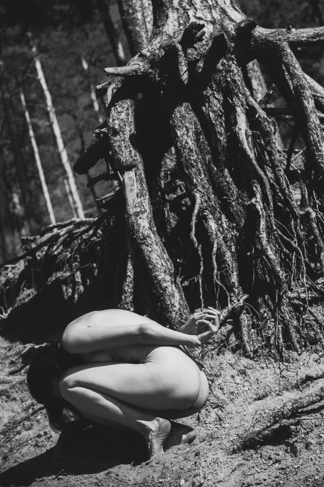 Photograph by Злотник Владимир