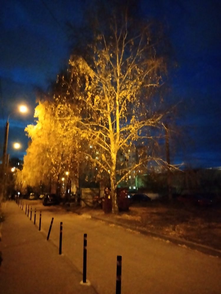 Photo #6634395