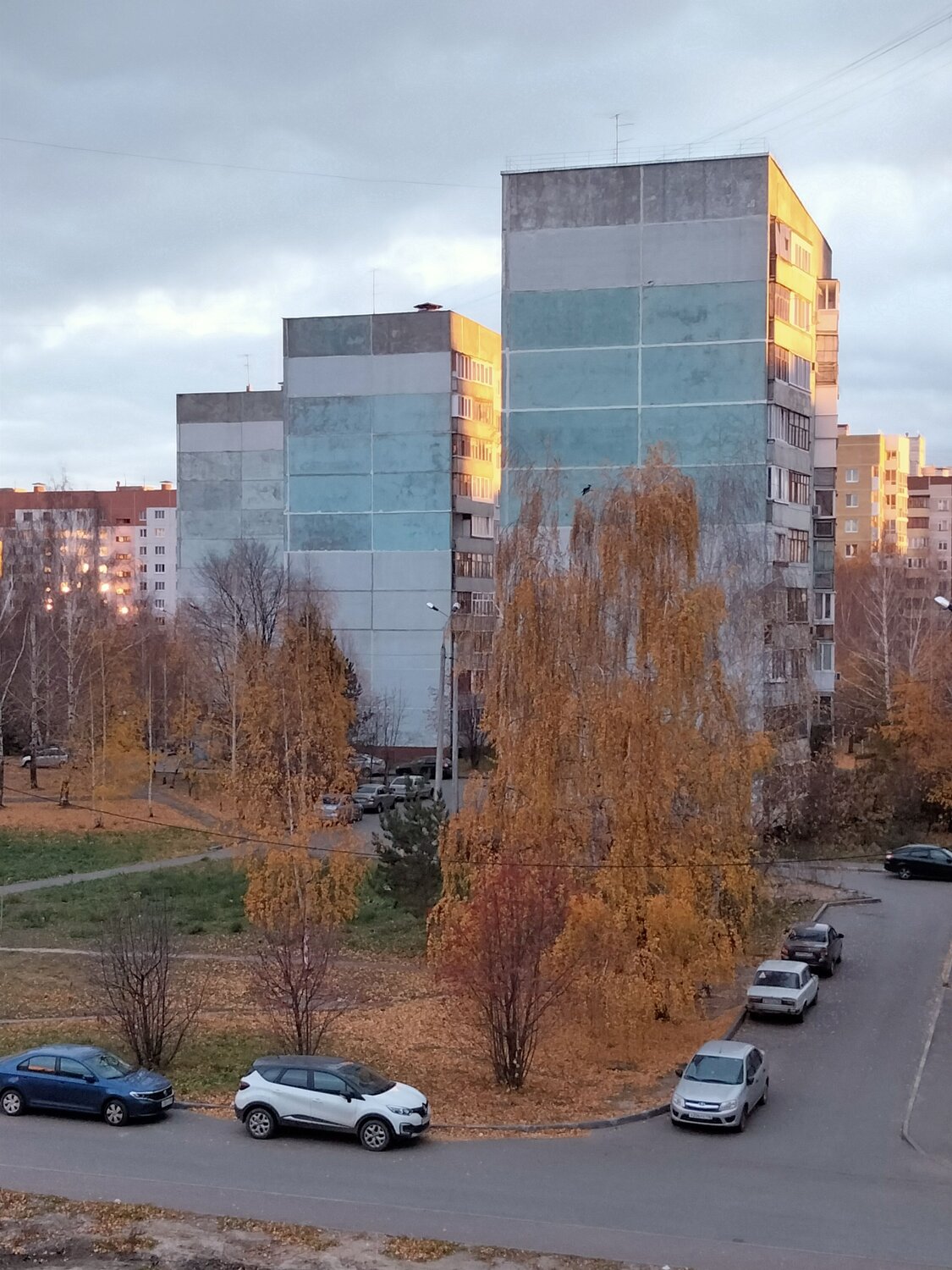 Photo #6634410