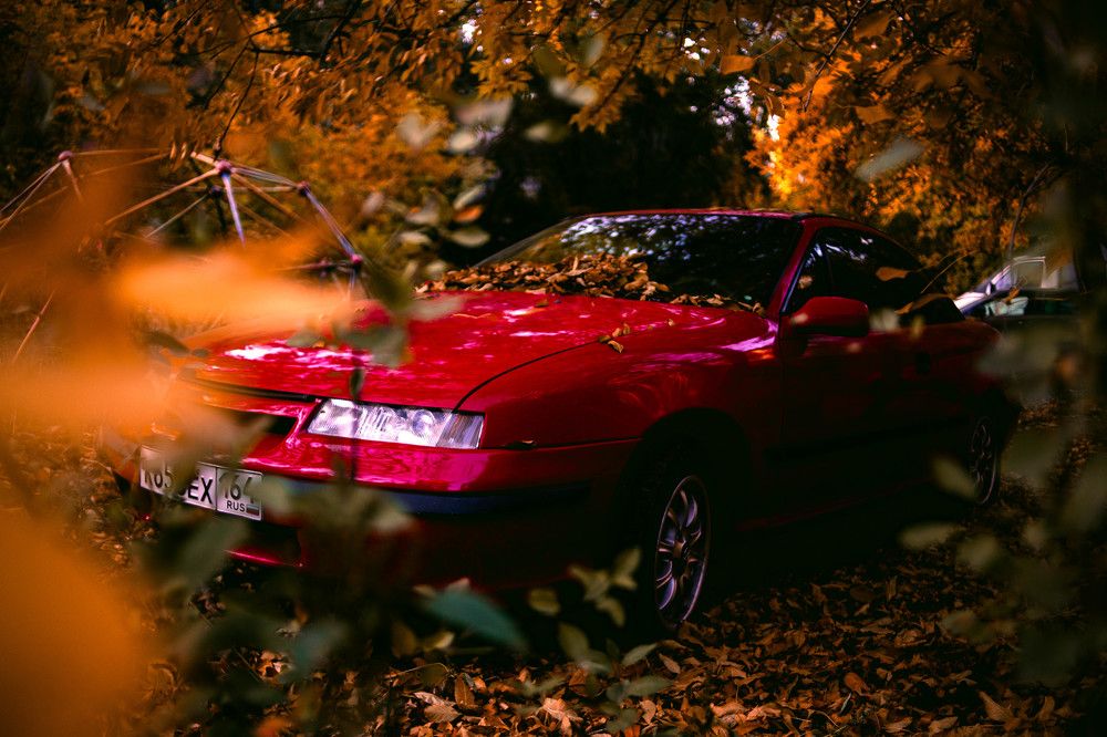 Car and leaves