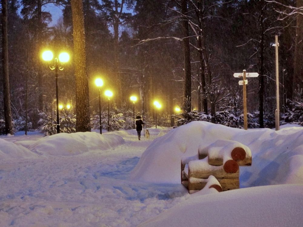 Вечер в парке