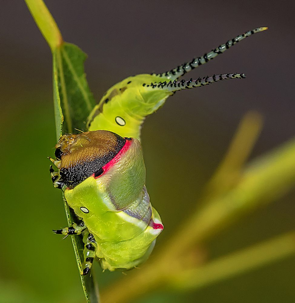 Photograph by Александр Есликов