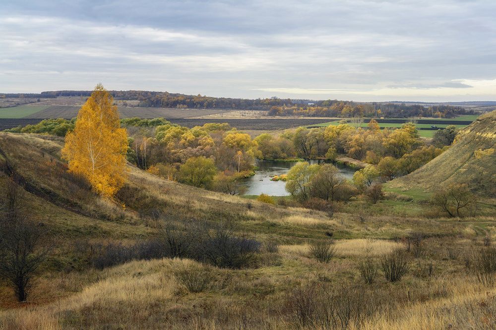 Фотография автора Анатолий Зверев