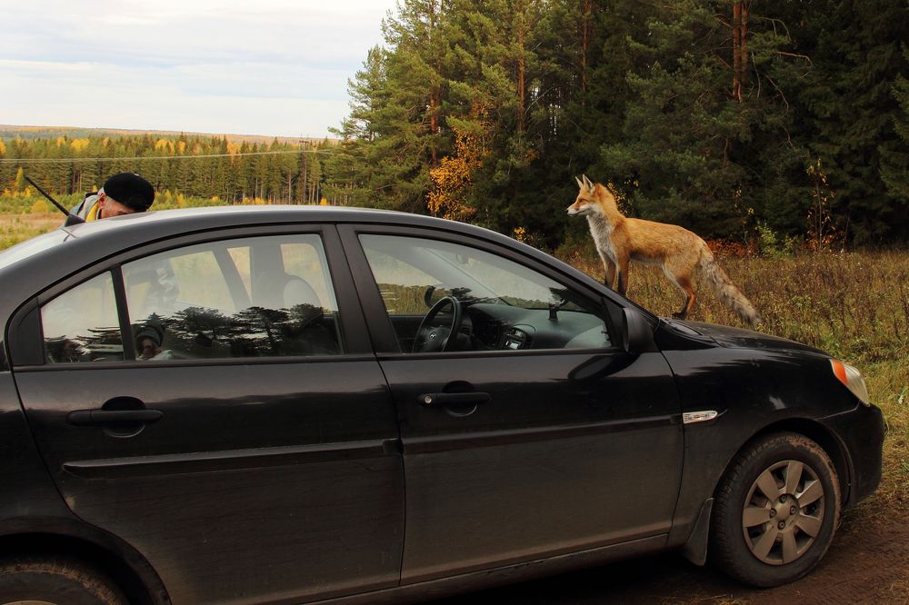 Photograph by Татьяна