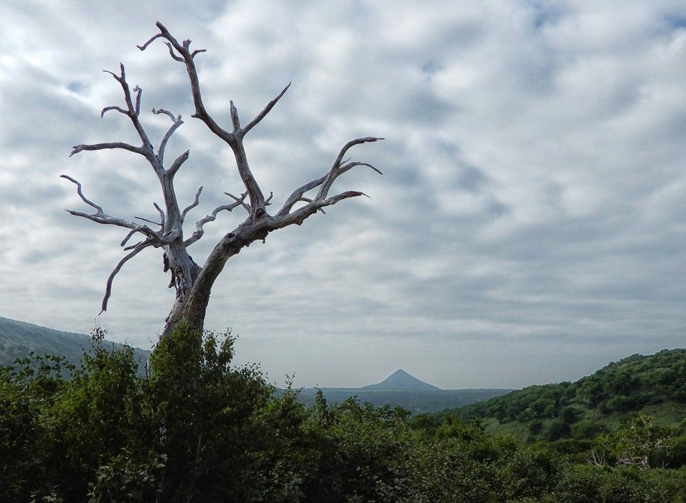 Photograph by София Гавриловна Вотякова