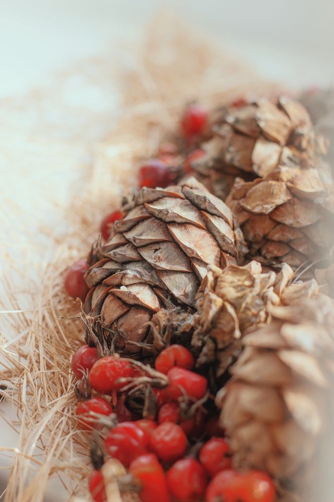 Photograph by Фистина Мария