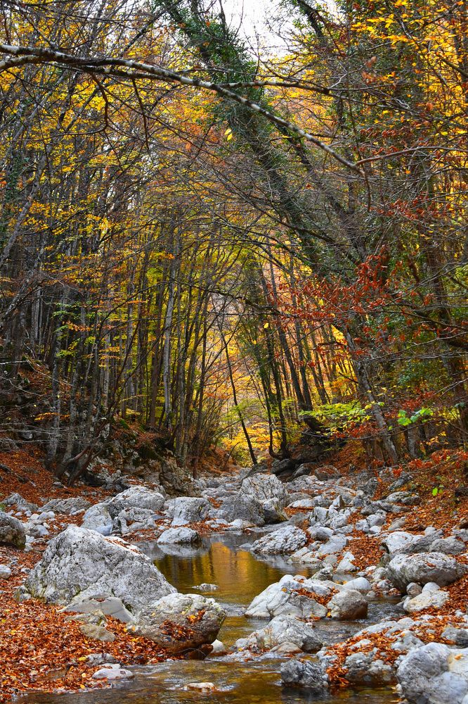Photograph by Екатерина Гордеева