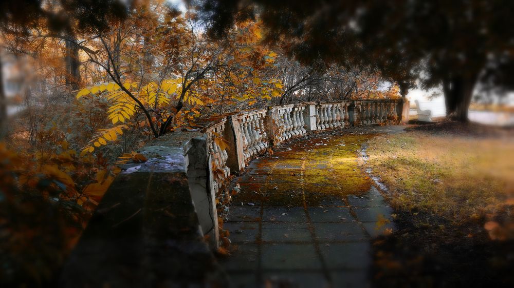 Старый парк в сентябре