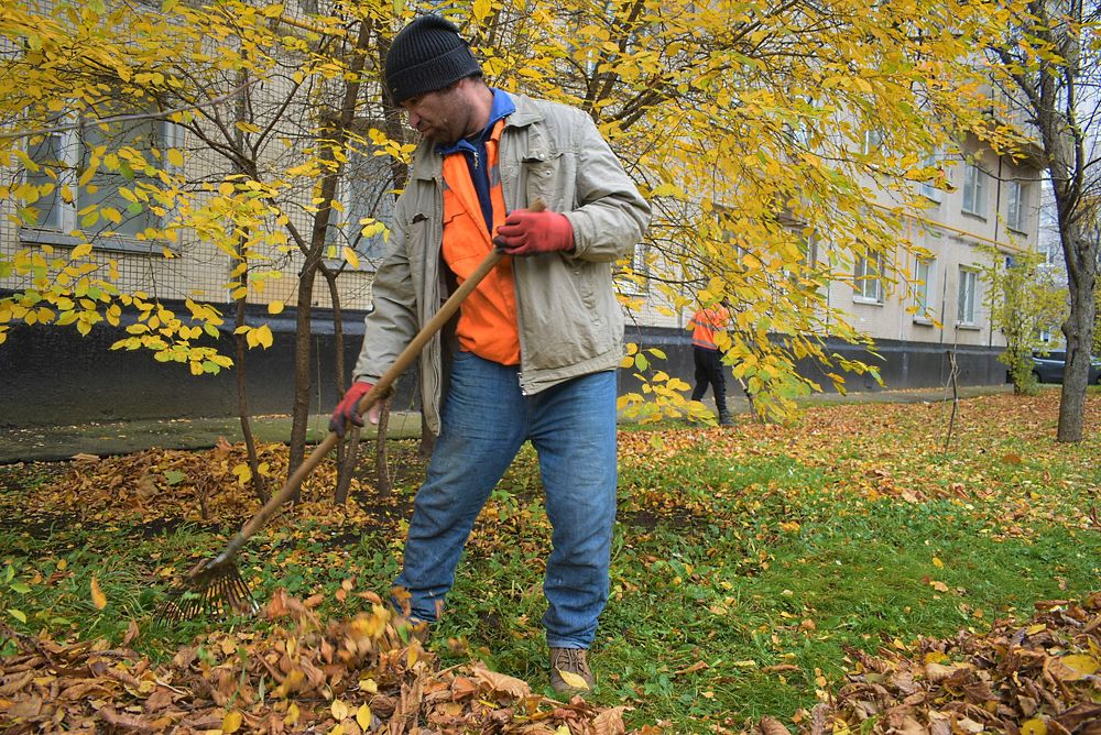 Photograph by Сергей Иванович Носов