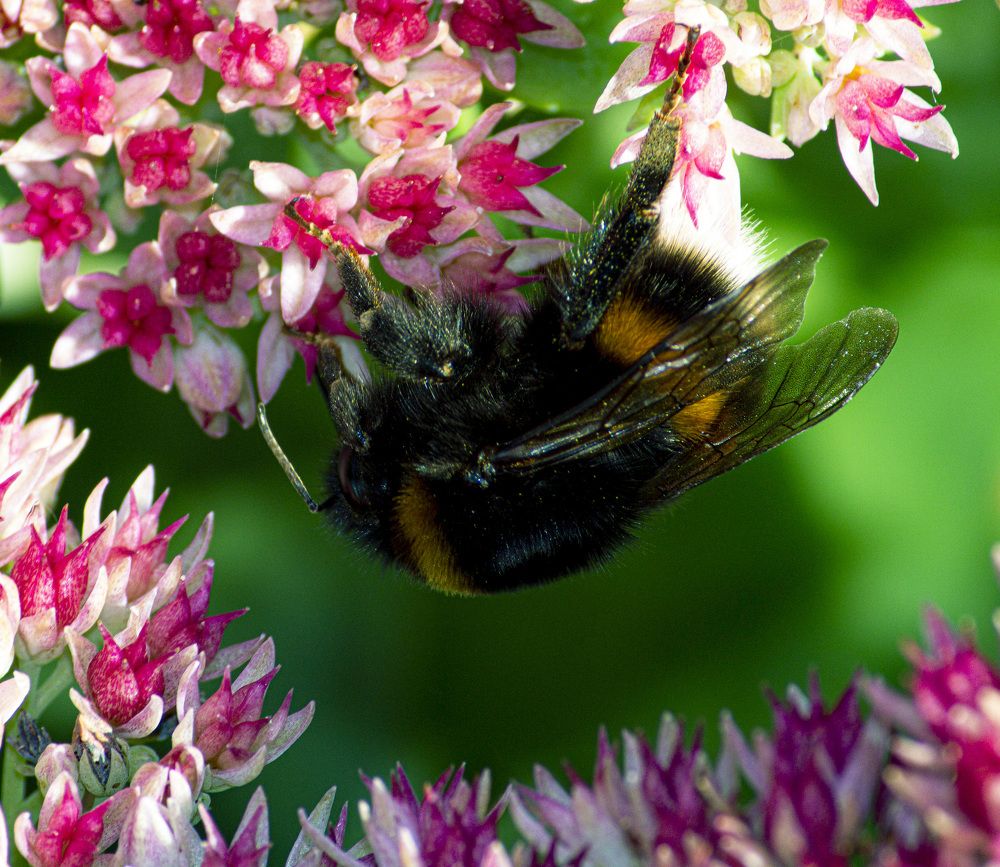 Фотография автора Novoseltsev Konstantin