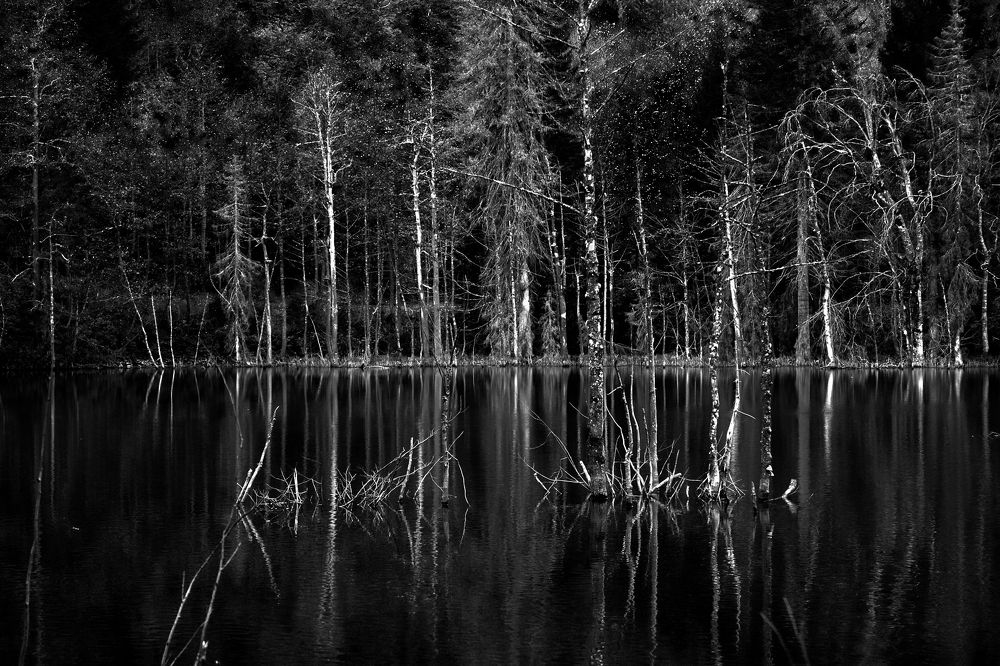 Photograph by Muzaffer Sütlüoğlu