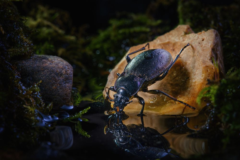 Photograph by Сергей Биденко