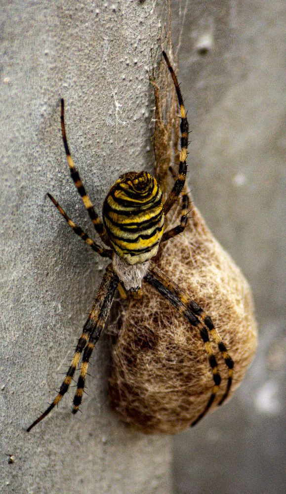 Фотография автора Novoseltsev Konstantin