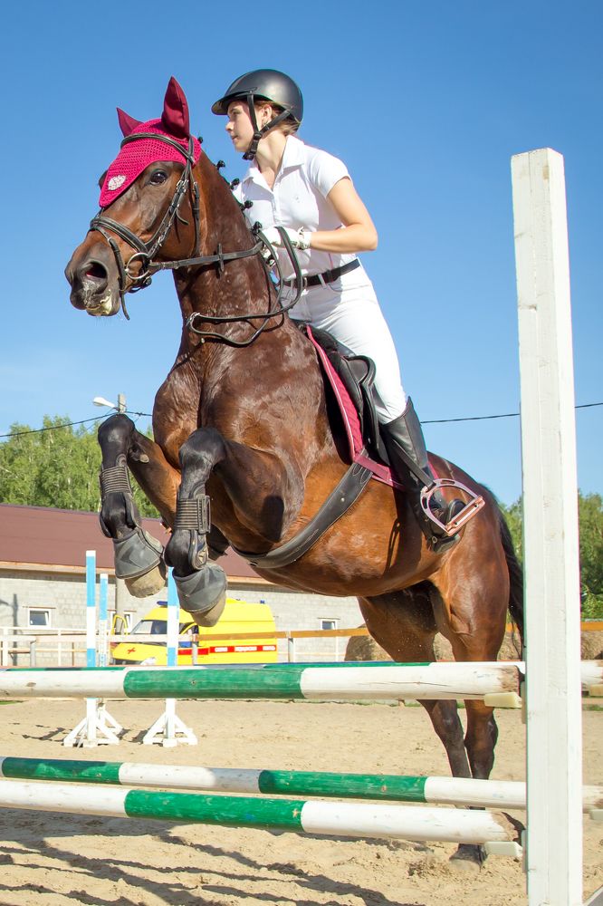 Photograph by Евгений Смирнов
