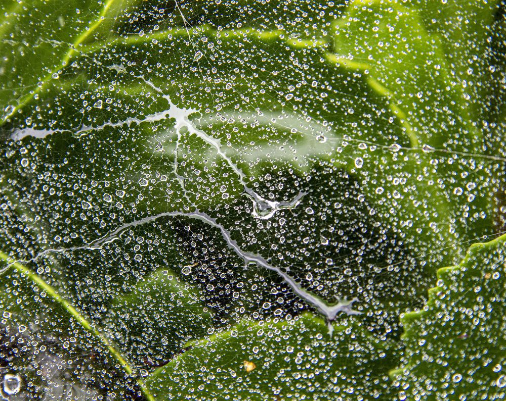 Фотография автора Novoseltsev Konstantin