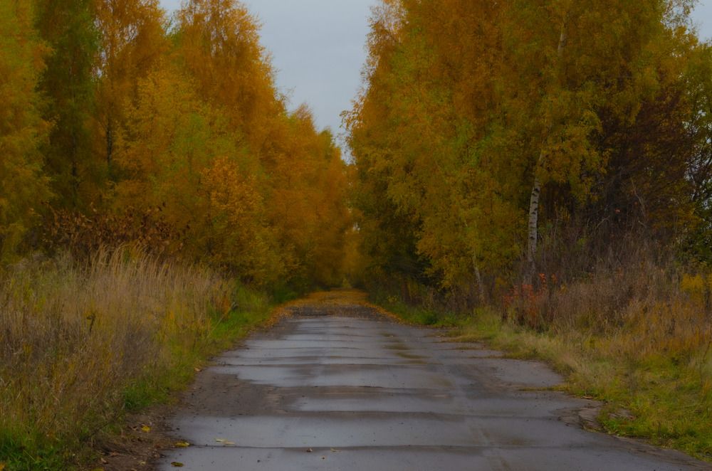 Photograph by Дмитрий Граждан