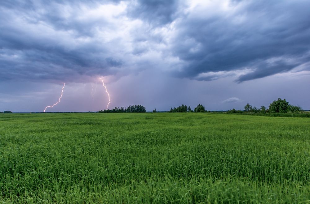 Фотография автора Илья Большаков