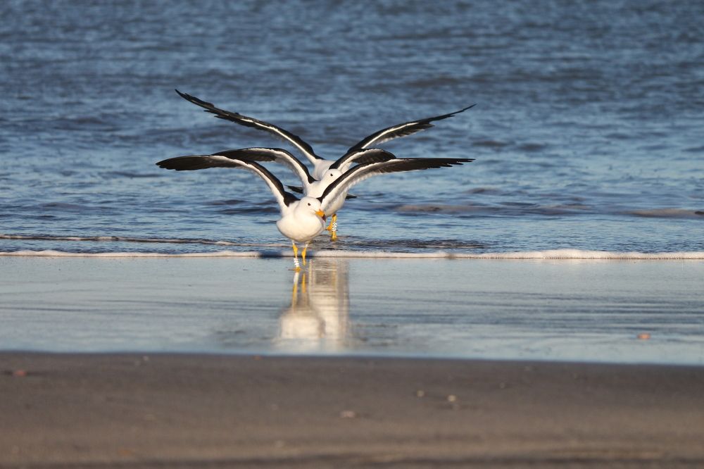 Photograph by Alfredo