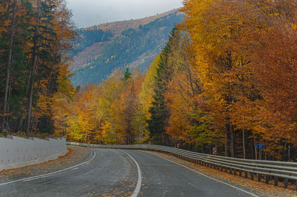 Photograph by Дмитрий Граждан