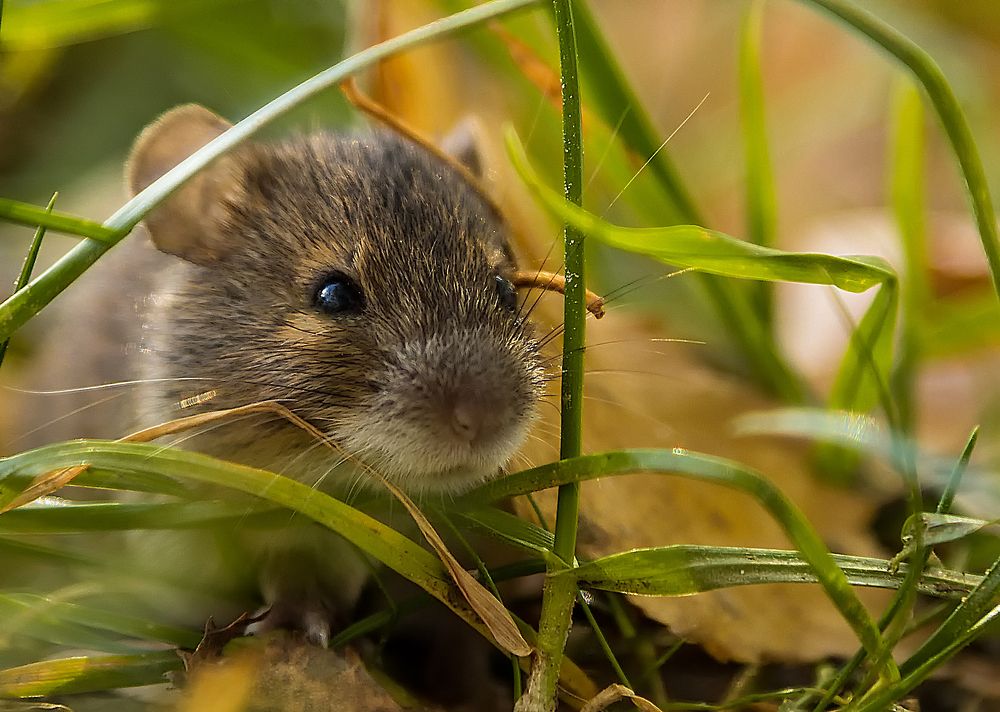Photograph by Александр Есликов
