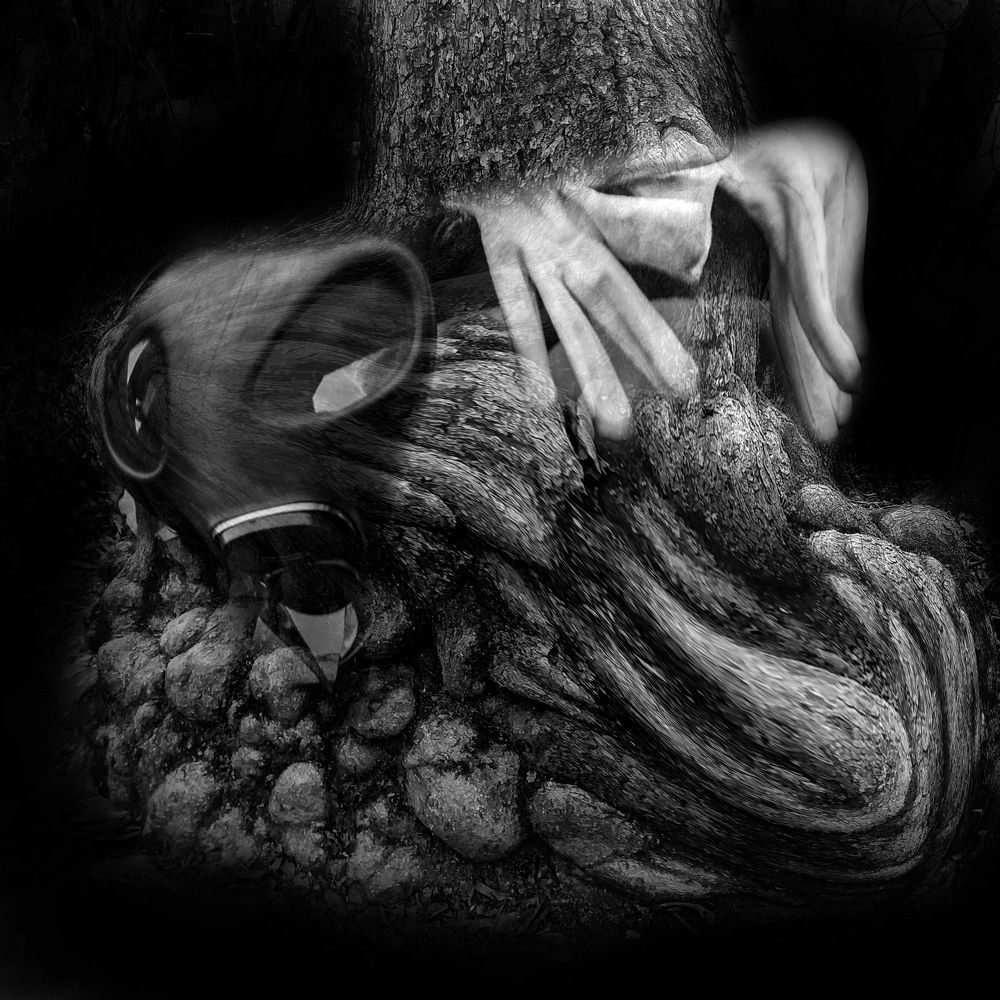 Photograph by Muzaffer Sütlüoğlu